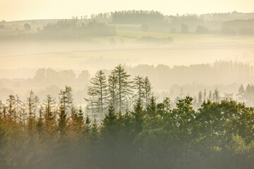 Obraz na płótnie Canvas fall misty and foggy country landscape with a tree silhouette on a fog at sunrise, rural countryside Jihlava, Puklice Vysocina Czech Republic