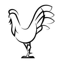 rooster