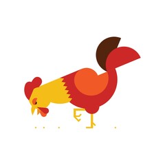 rooster