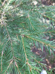 Природа, осень 