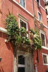 Fassade mit tollen Blumen in Rom