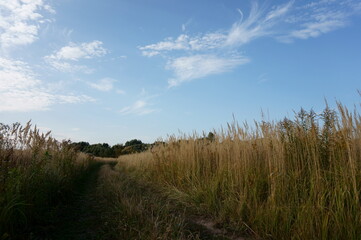 Autumn walks through forests and fields.