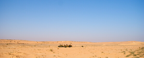 Fototapeta na wymiar Israeli soldiers excersice in a desert
