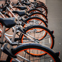 Fototapeta premium Bike rental on the main street of the city. Bike sharing system.