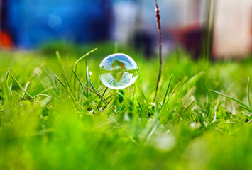 Nice soap bubble in green grass