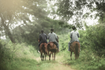 Animal Science studying on horseback.
