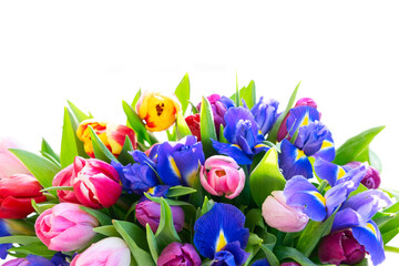 Obraz na płótnie Canvas Pink and violet tulips flowers