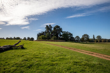 Fototapeta premium tree,blue,sky,clouds,grass