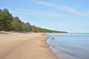Coast of Ladoga lake at sunny day, Karelian isthmus, Russia.