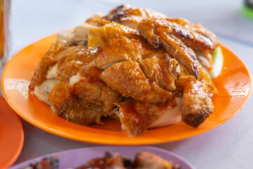 chopped chinese chicken  roasted on colorful plate