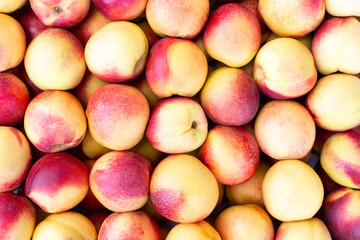 background of nectarines