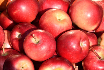 red apples of the new crop are sold at the city market