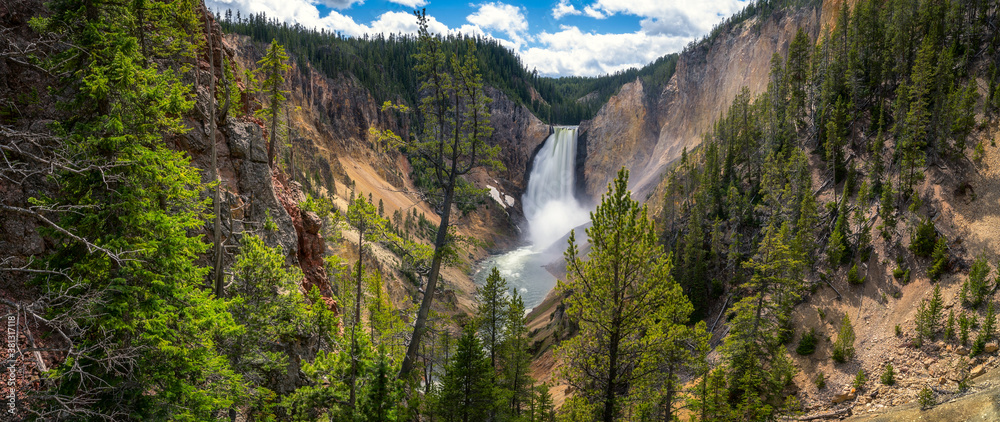 Wall mural lower falls of the yellowstone national park, wyoming, usa