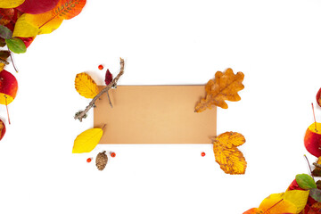 Autumn composition. Paper blank, dried flowers and leaves on white background. Autumn, fall concept. Flat lay, top view, copy space, square