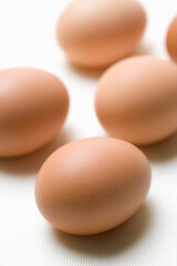 タマゴ
