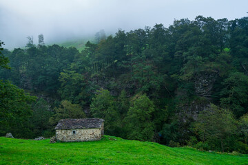 Fototapeta na wymiar Cabañas Pasiegas and meadows, Miera Valley, Valles Pasiegos, Cantabria, Spain, Europe
