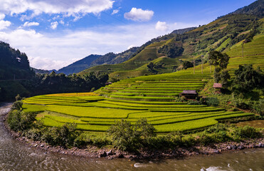 Terraced rice fields, Mu Cang Chai, Yen Bai, Vietnam