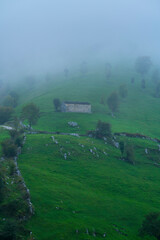 Cabañas Pasiegas and meadows, Miera Valley, Valles Pasiegos, Cantabria, Spain, Europe