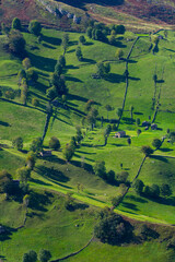 Cabañas Pasiegas and meadows, Miera Valley, Valles Pasiegos, Cantabria, Spain, Europe