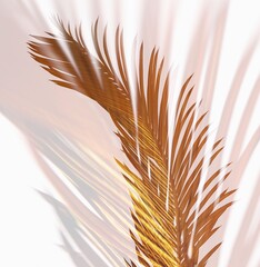 palm leaf cicas as background texture
