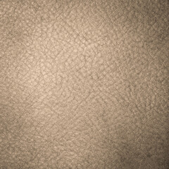 grunge background with space for text or image