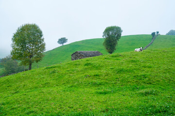 Cabañas Pasiegas and meadows, Miera Valley, Valles Pasiegos, Cantabria, Spain, Europe