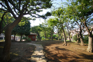 葭根（よしね）公園（東京都世田谷区船橋6丁目）