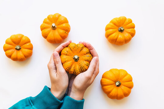 Woman's hand holding small decorative pumpkin. - Powered by Adobe