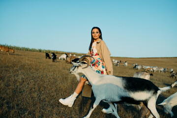Shepherdess walks in a pasture among goats.