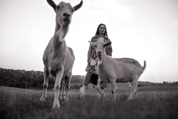 Shepherdess walks in a pasture among goats.