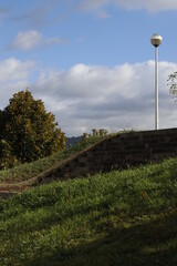 Grass in an urban park