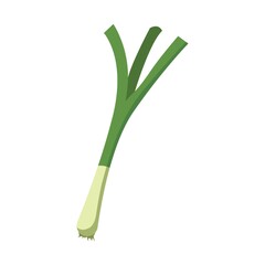 Scallion