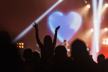 fan at a concert