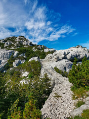 Fototapeta na wymiar Beautiful karst landscape on Premuziceva trail in the Northern Velebit National Park in Croatia photographed in summer 2020