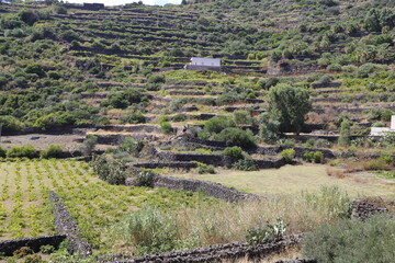 Pantelleria