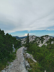 Fototapeta premium Beautiful karst landscape on Premuziceva trail in the Northern Velebit National Park in Croatia photographed in summer 2020