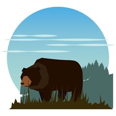 Bear cartoon