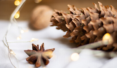 The pine cone lies on a light background in the light of a garland.