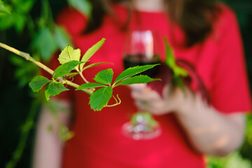 A vine branch and a woman with glass wine in the background