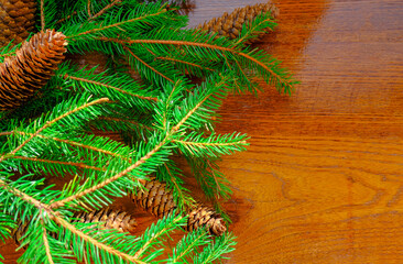 christmas tree branch close-up with cones on wooden background in sunlight. Copy space. Christmas postcard