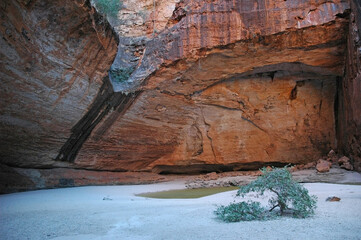 Cathedral Gorge in Purnululu National Park, a World Heritage Site in the East Kimberley region of Western Australia.
