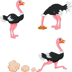 Illustration of cartoon ostrich collection set
