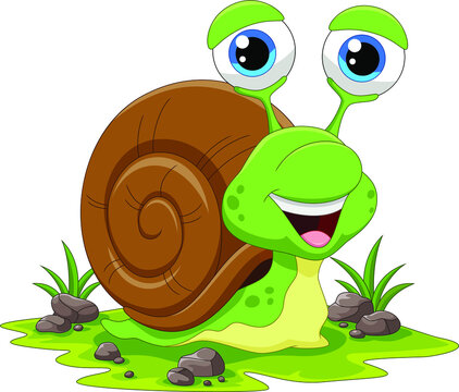 Illustration of cute snail cartoon