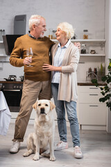joyful senior couple looking at each other while standing in kitchen near golden retriever on thanksgiving day