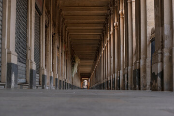 Jardin du palais royal 