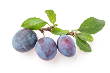 Plum fruit with leaf