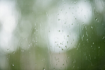 Rain drops on window with green tree in background