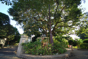 北沢川緑道弁天橋（東京都世田谷区）