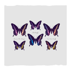 Butterfly abstract illustration 