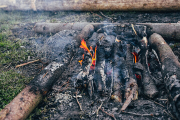 Burning logs in a fire in the forest - survival in the wild